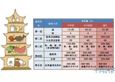 孕期四周该注意哪些细节,孕期一定要知道的四件事