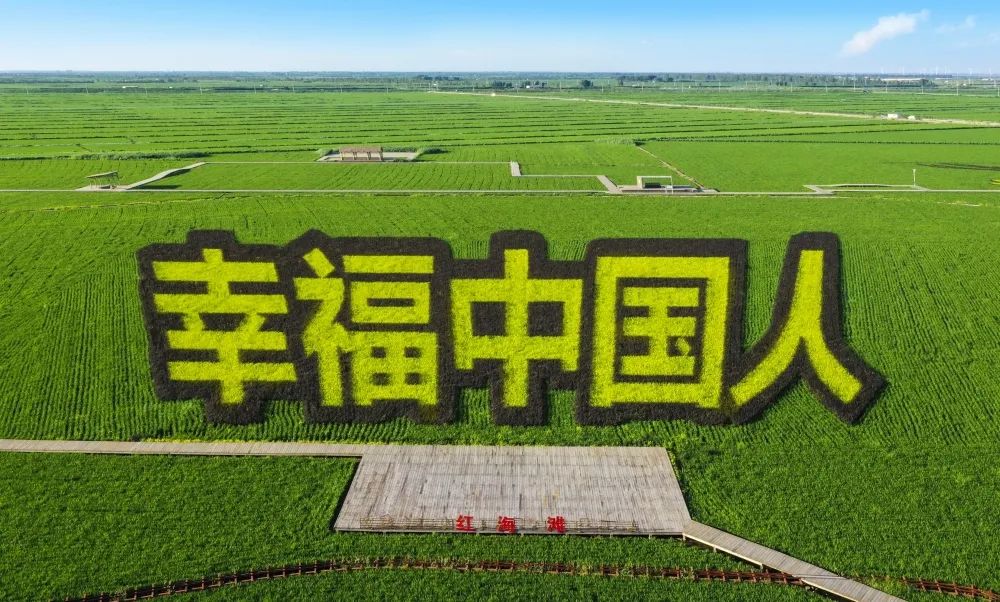 旅游图片合集多张海边,七月的红海滩景色怎么样