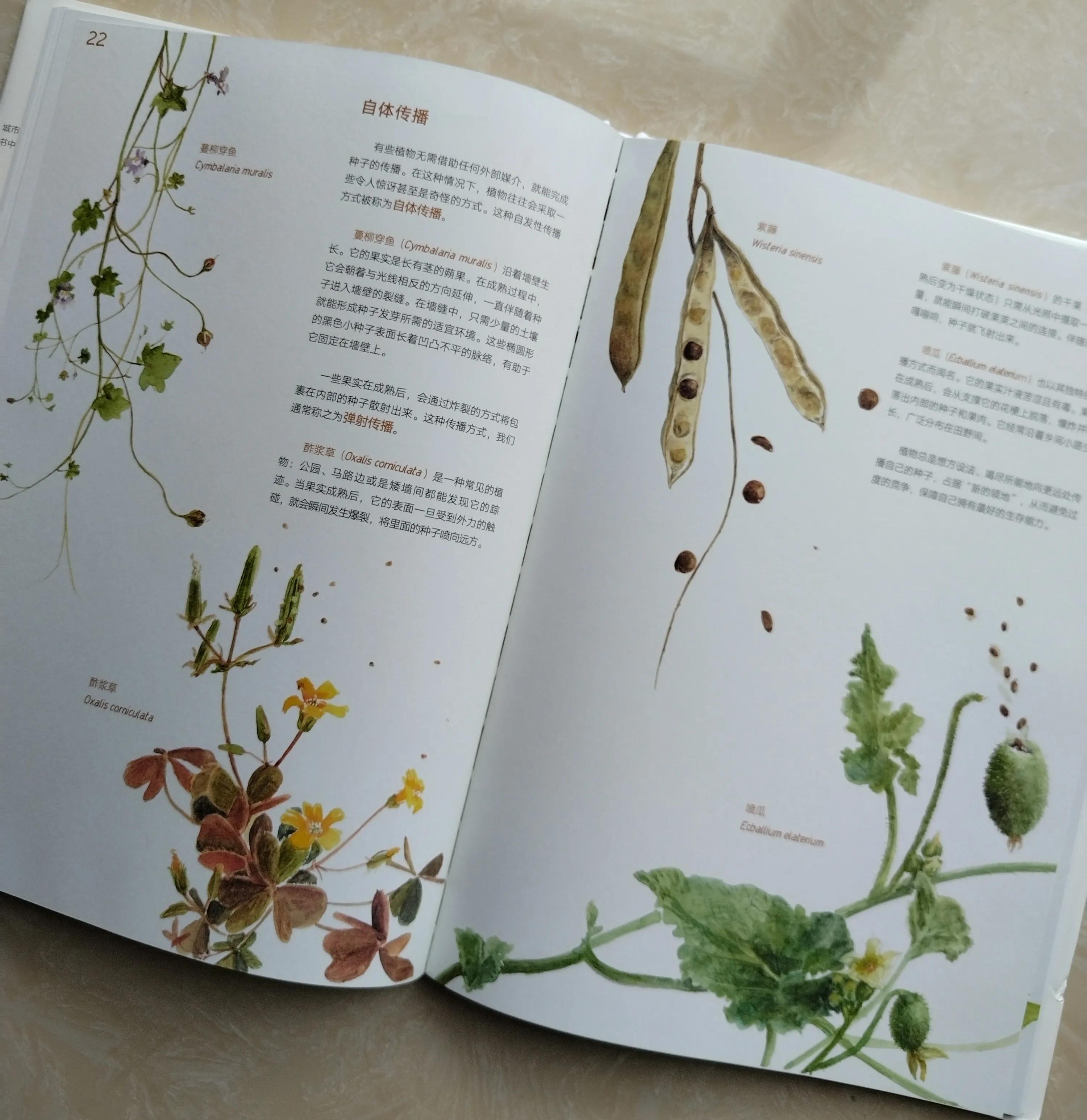 鎺㈢储鑷劧鐨勫ゥ绉樻劅鍙楃敓鍛界殑绁炲,鎴戜滑璧拌繘澶ц嚜鐒舵帰瀵荤敓鍛界殑婧愭硥