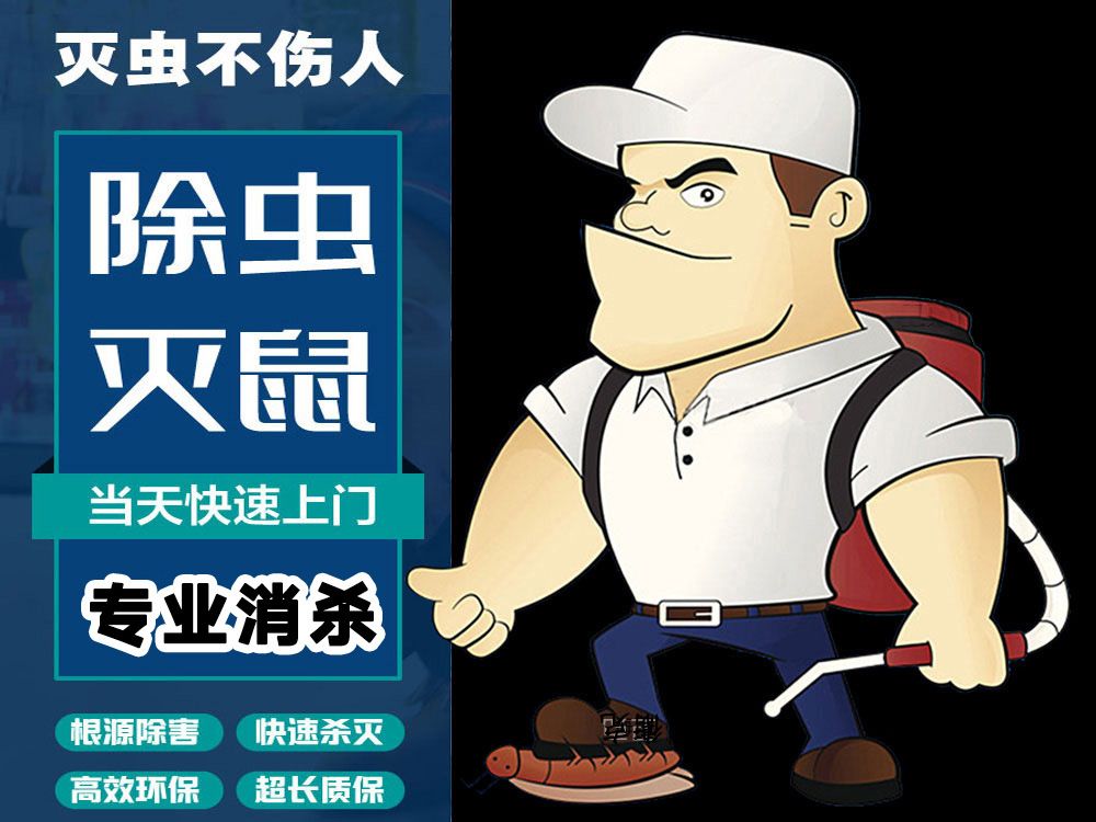 家里蟑螂多用什么杀蟑螂最有效,家里有蟑螂的该怎么消灭蟑螂