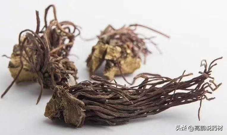 高鹏说药材：紫菀、白芷、天南星、粉葛、知母等行情走势简析