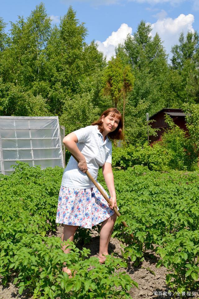 农民职业和农民身份的区别,新型职业农民应该具备什么