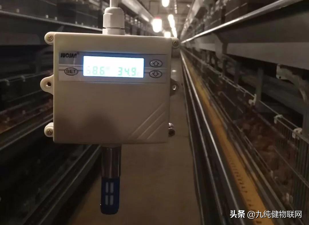 正大梦工厂,正大鸡蛋梦工厂北京