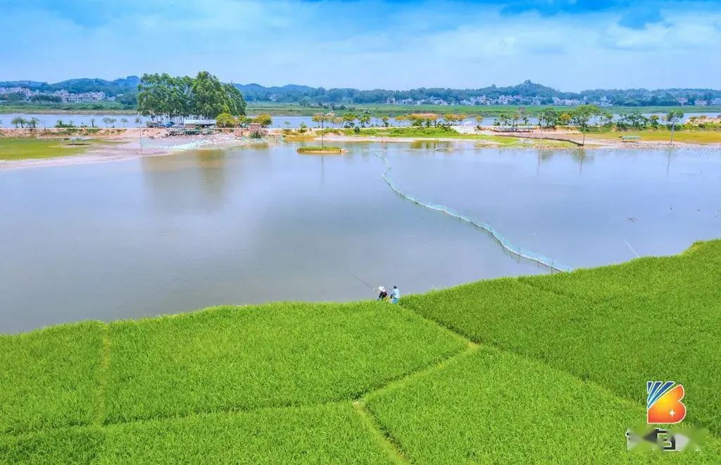 广西博白客家特产小吃图片高清,广西博白小吃都有什么