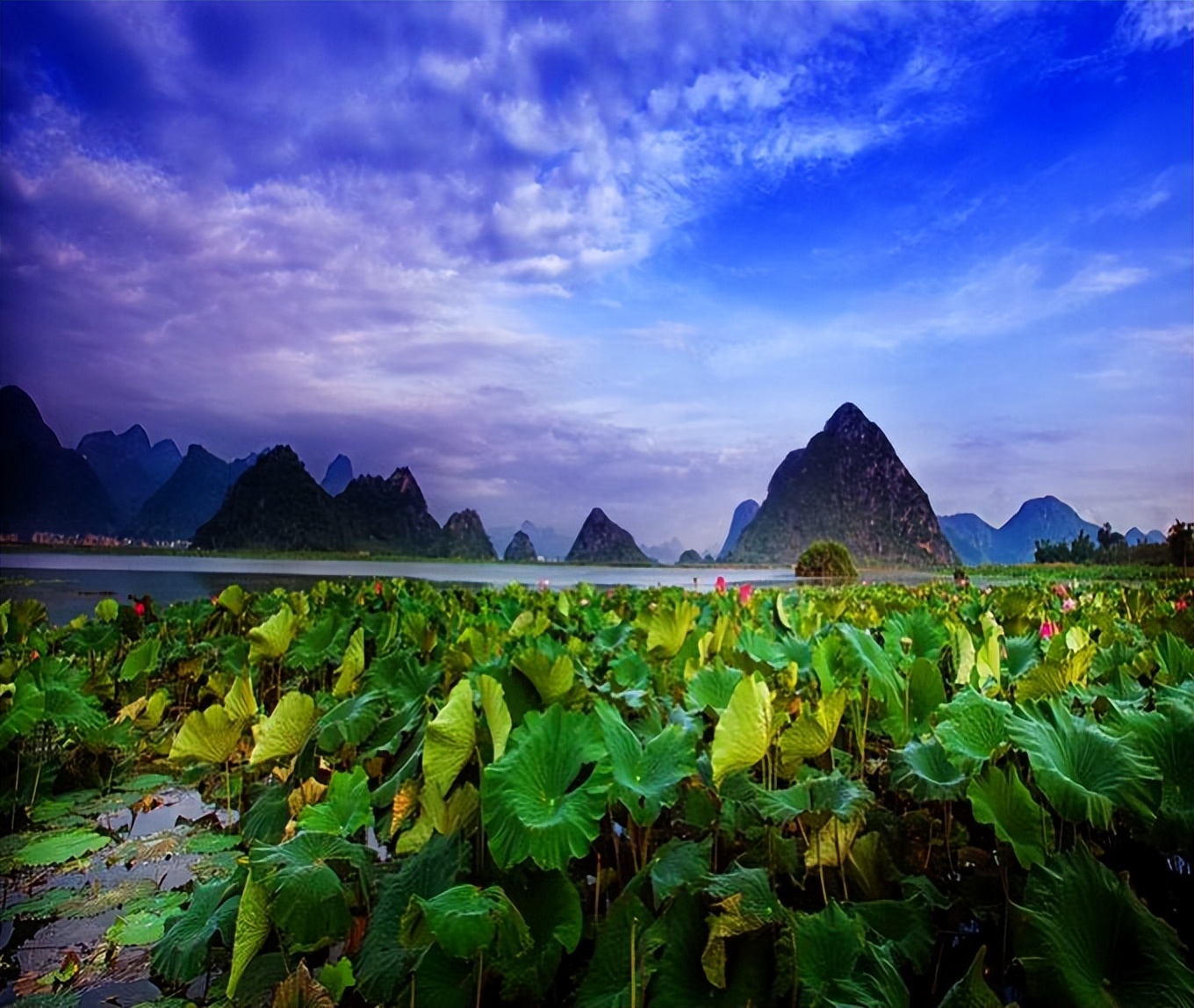 普者黑省旅游景点全攻略,普者黑风景区一天游玩攻略