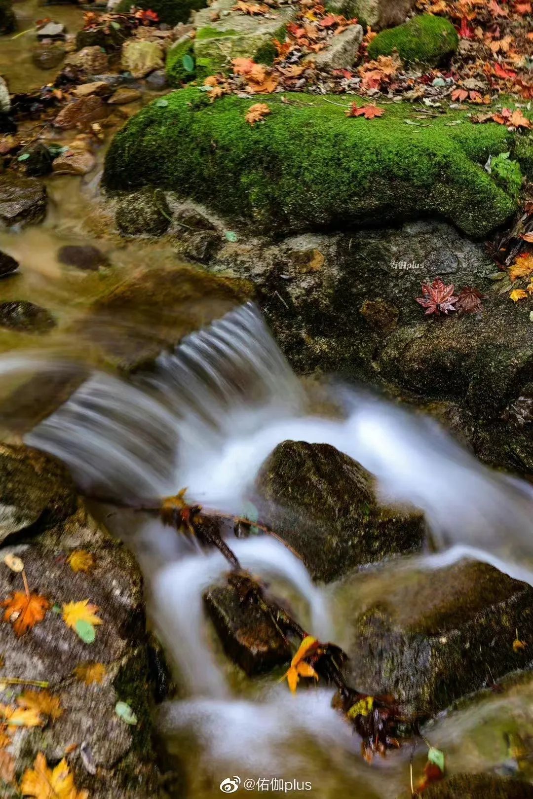 济南九如山秋色美如画,济南九如山秋天景色