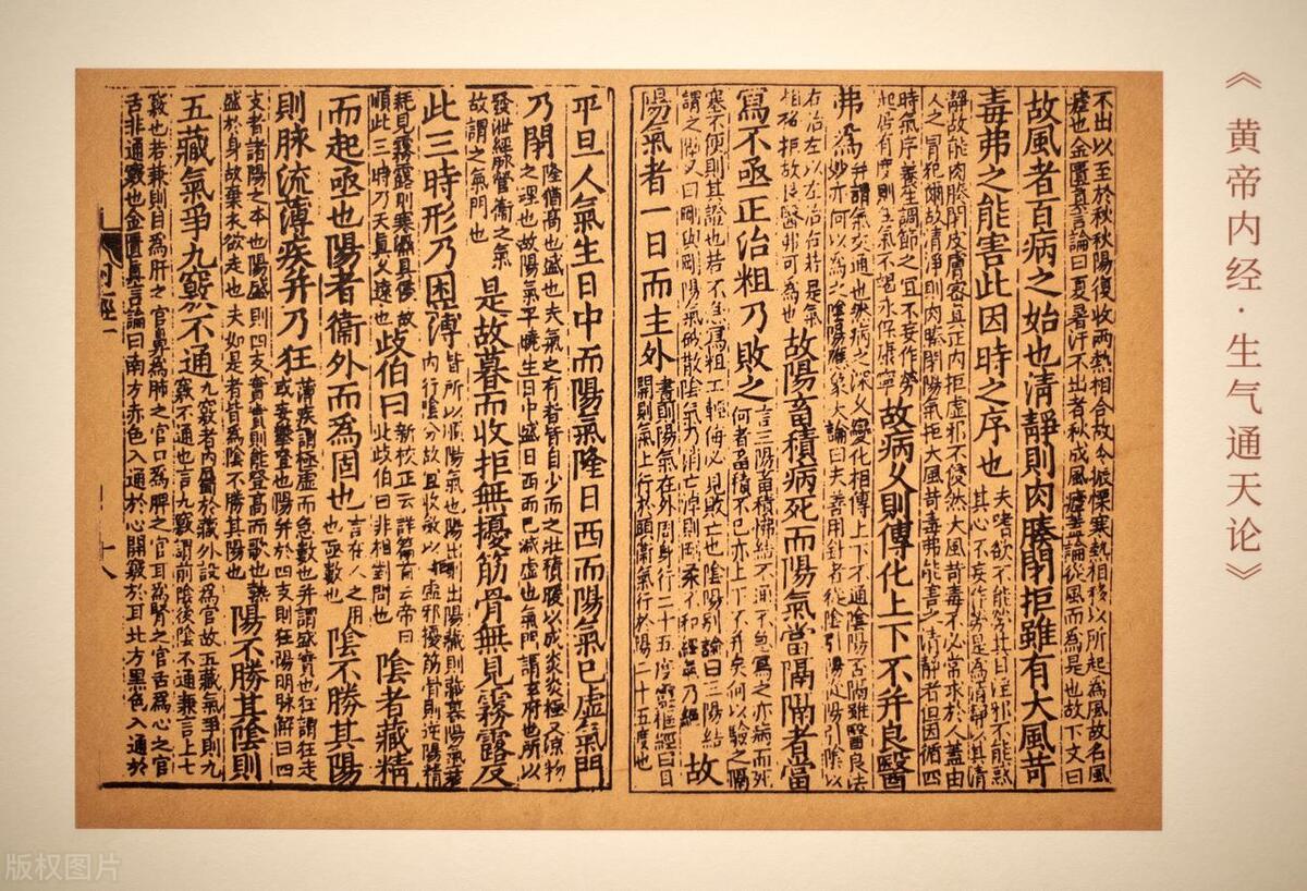 中医治疗湿疹荨麻疹皮炎,荨麻疹湿疹止痒的中药材