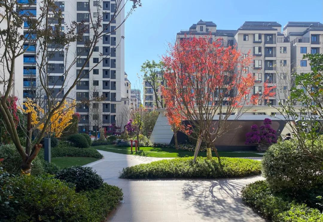 瑞金这里惊现霸气烤鳄鱼,炙热开席,味你而来