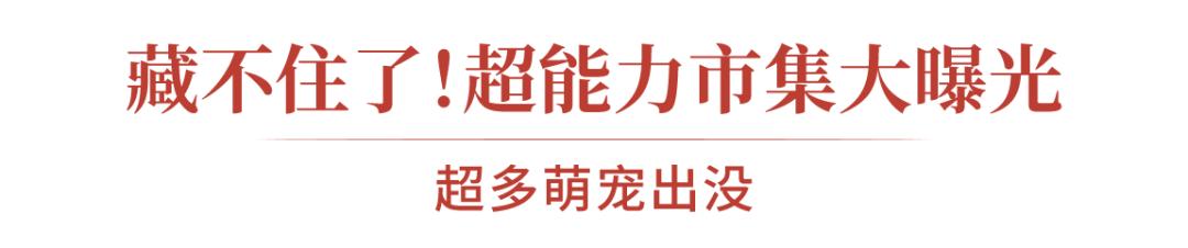 市区100平米宠物游乐园,宠物游乐场室内