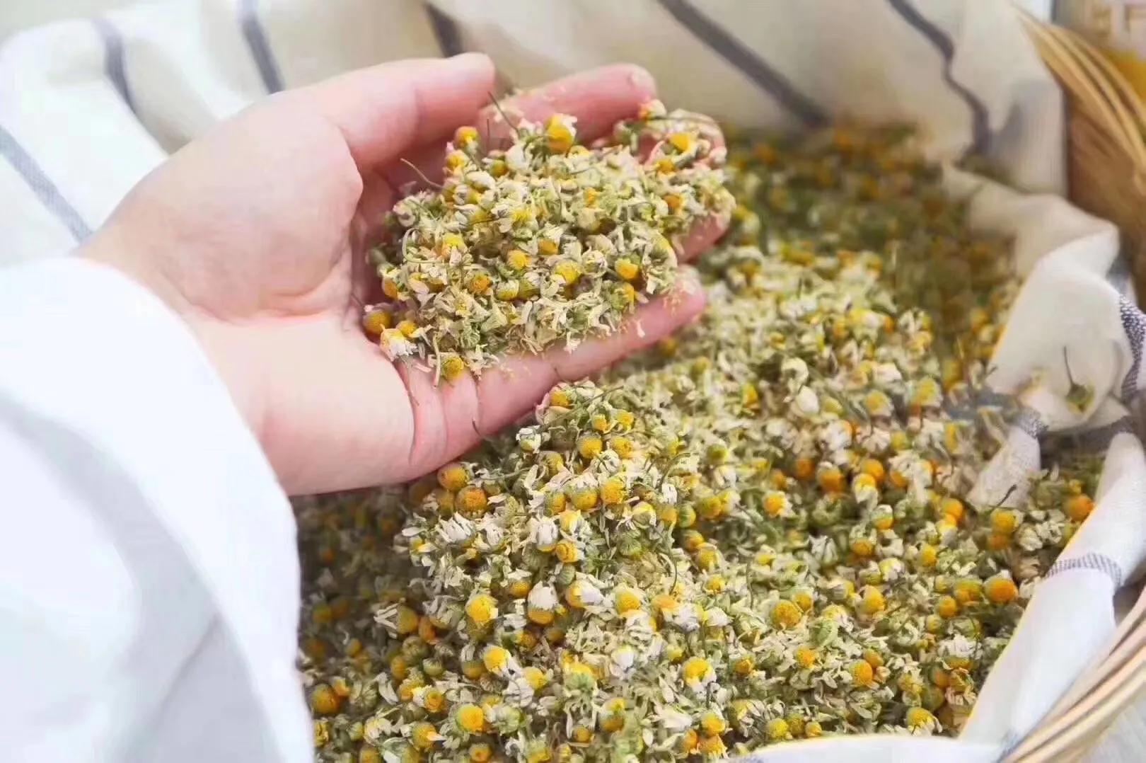 控油祛痘水乳推荐成分安全,什么成分保湿控油祛痘