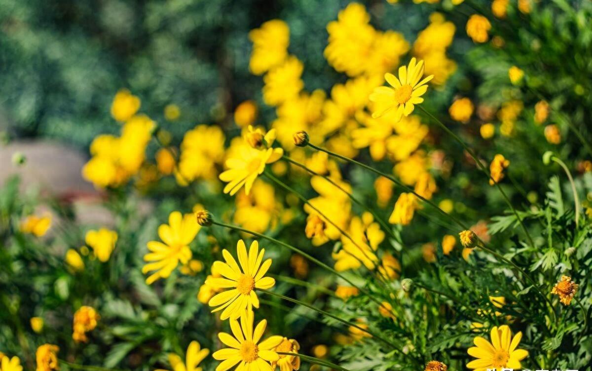 记忆中的徐家汇,记忆中的静安素面