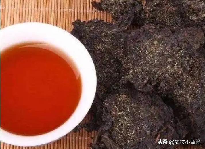 适合秋冬喝的3种茶,春季适合喝的3款时令茶