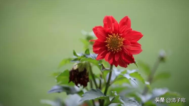 刚毕业的大学生应该工作还是备考,刚毕业的大学生选择高薪还是低薪