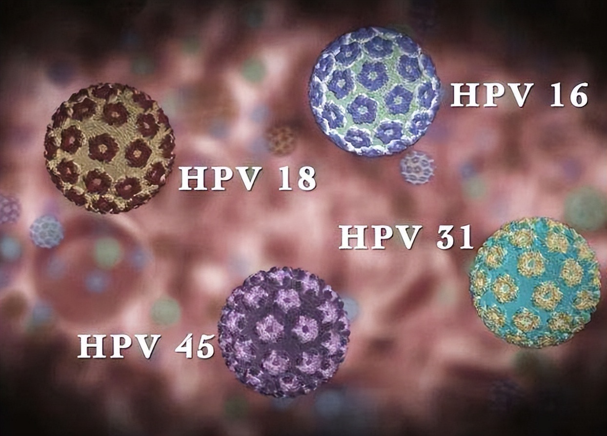 【健康科普】了解HPV病毒与宫颈癌的关系及预防措施