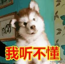 微信支付宝收款码最新政策原文,微信支付宝收款新规通知