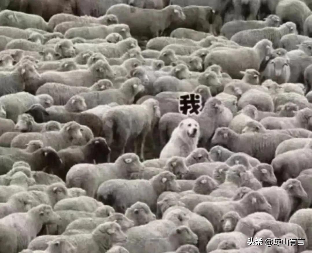 为什么现在都是无症状感染者,为什么无症状感染者不公布明细