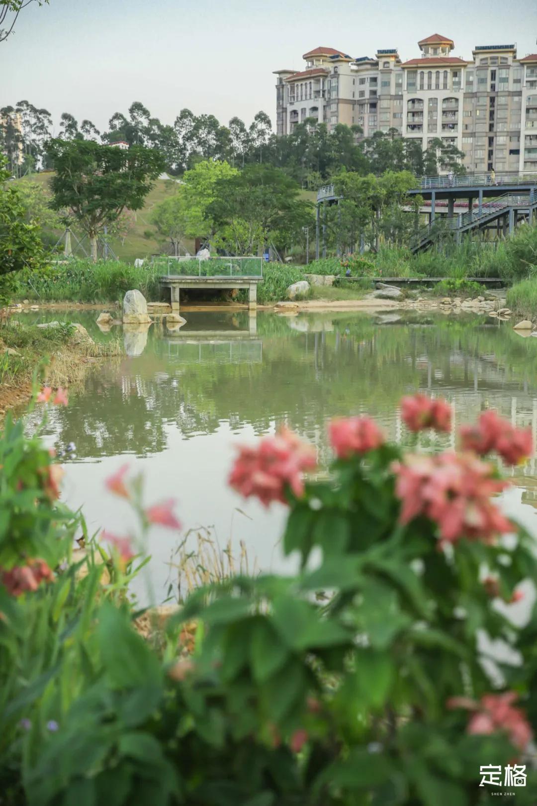 深圳免费好玩的滑梯推荐,深圳摩天滑梯