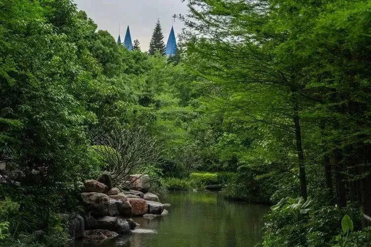 漳州泡温泉旅游攻略路线,春节漳州一日游最佳去处