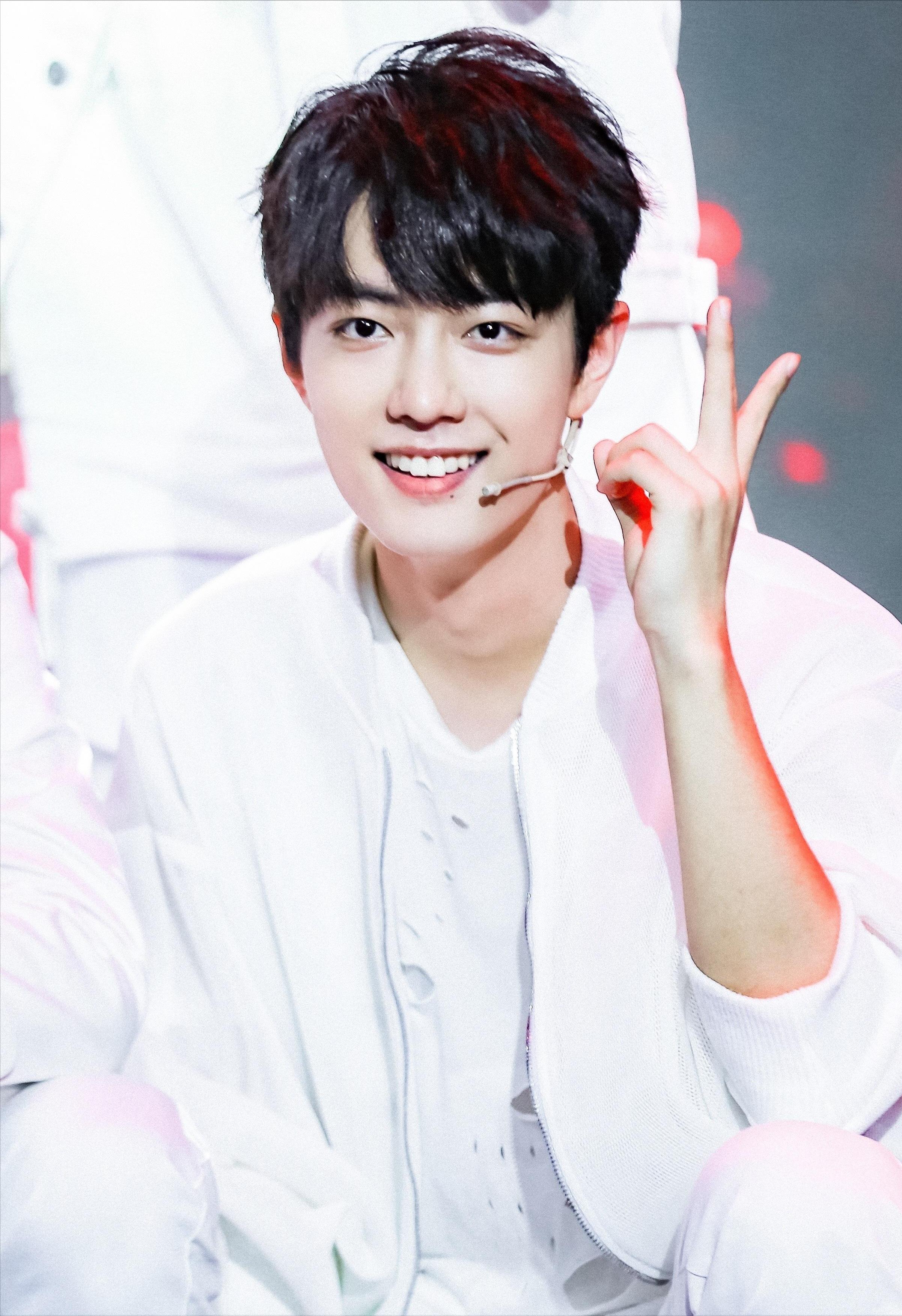 说出15个川渝地区的男明星,巴蜀美男子