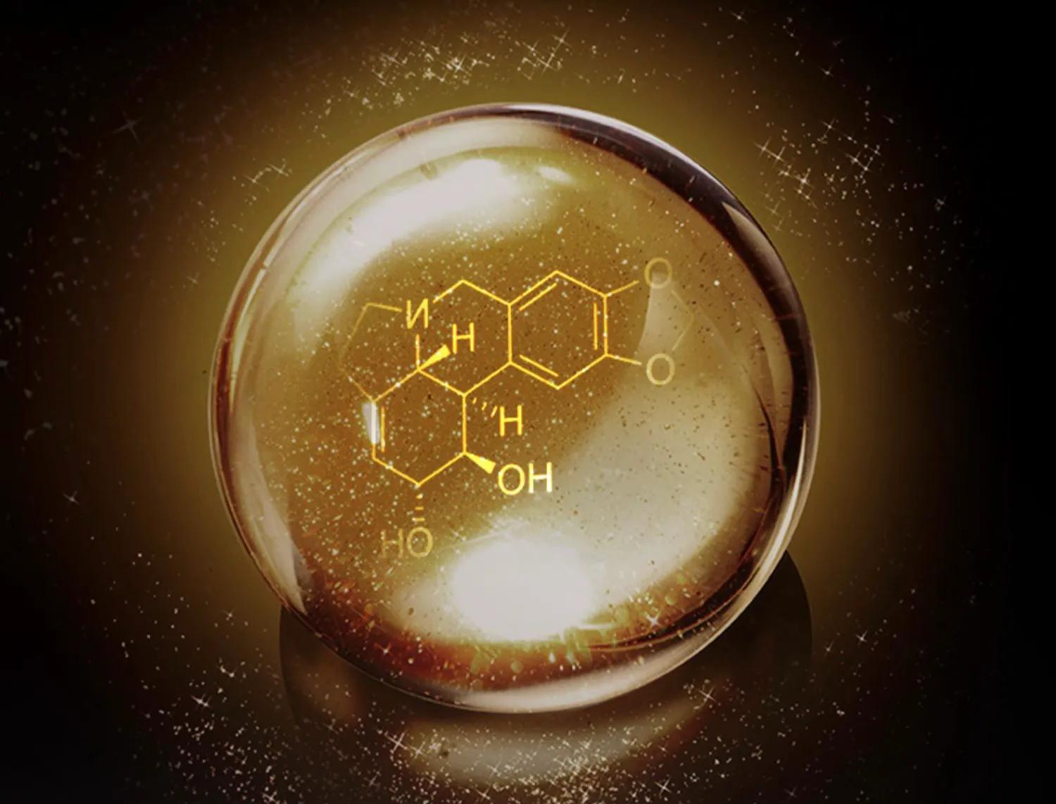 护肤精华液的正确使用方法步骤,教你正确的精华液的使用方法