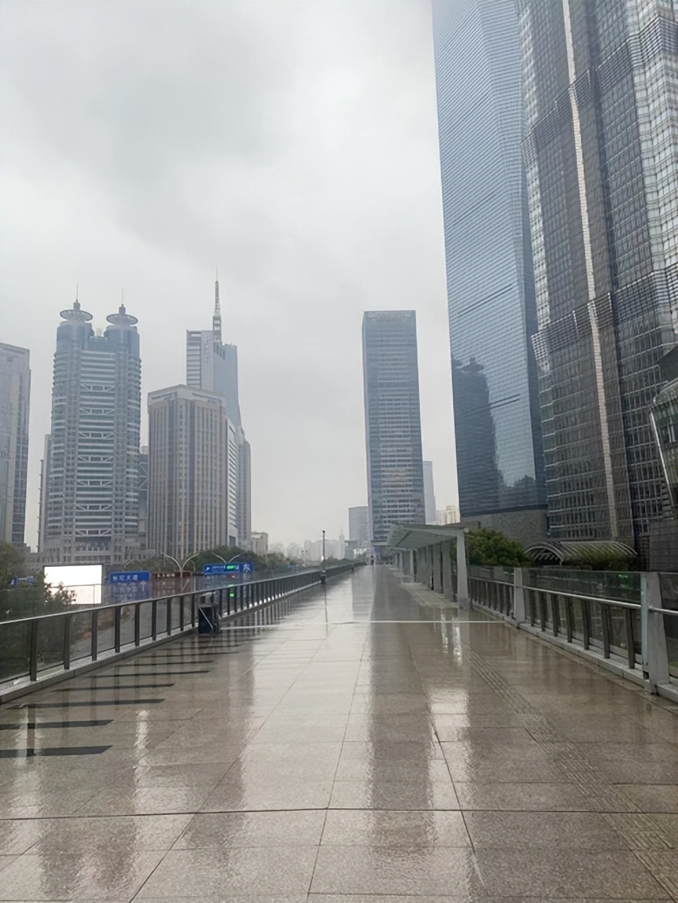 “表哥表姐”争上游，上海“精英”自救记