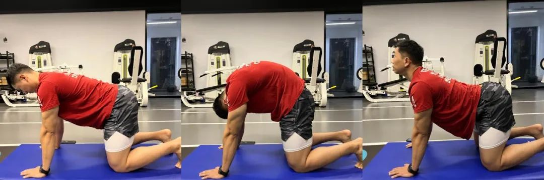 这几个纠正性练习，帮你获得更好的旋转稳定性