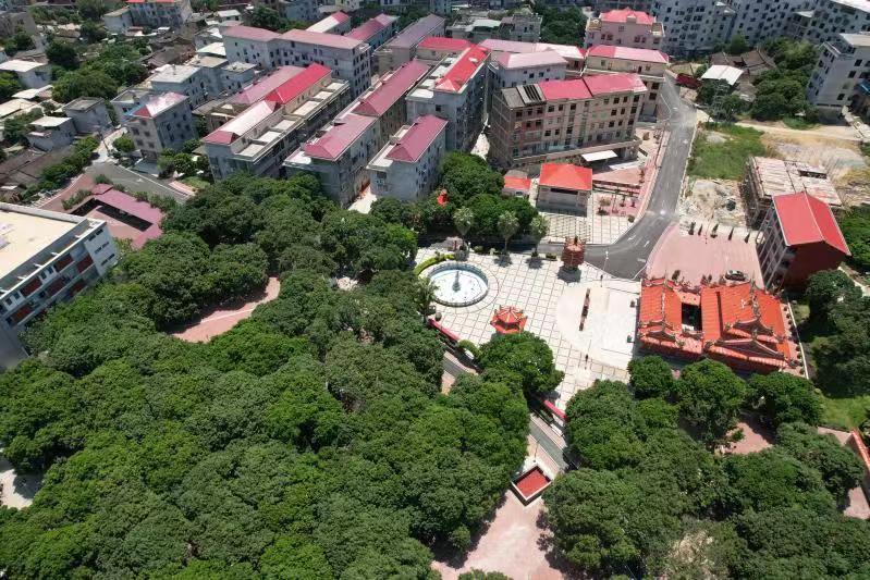 安溪县湖头镇：乡村蝶变满目新振兴路上阔步行