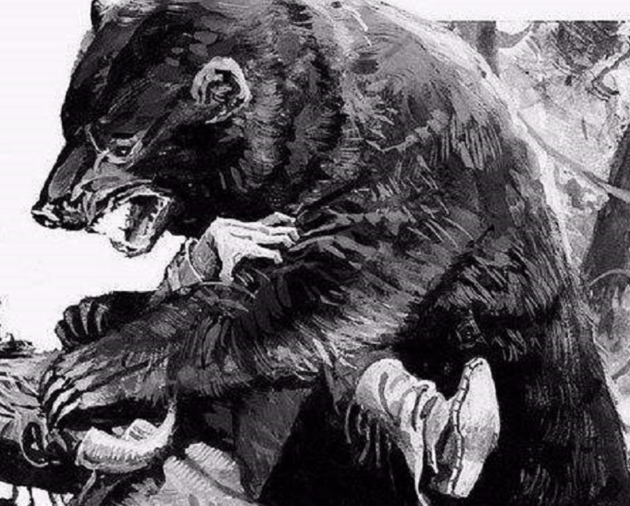 功夫咋就越学越乱呢?记住这*合六**三劲让你事半功倍