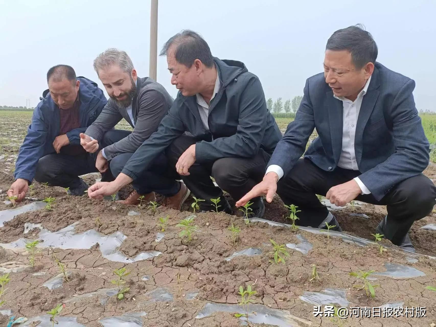 助推农业农村发展和农民增收致富,推动农业产业化助力农民致富增收