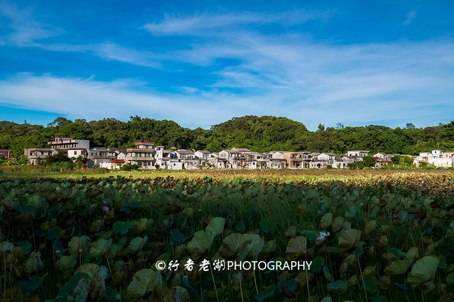 海上度假胜地及酒店,海上度假去哪里