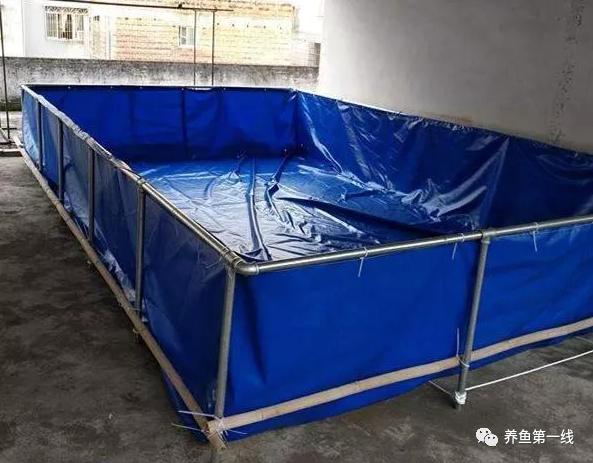 帆布池养殖泥鳅到底行不行,南美白对虾帆布池养殖可靠吗