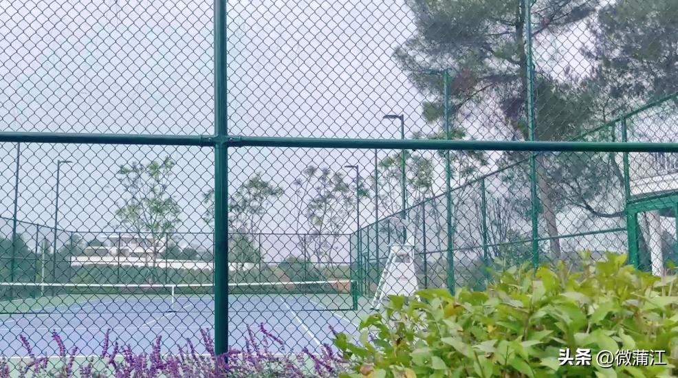四川省蒲江县最美生态乡村,蒲江网球场