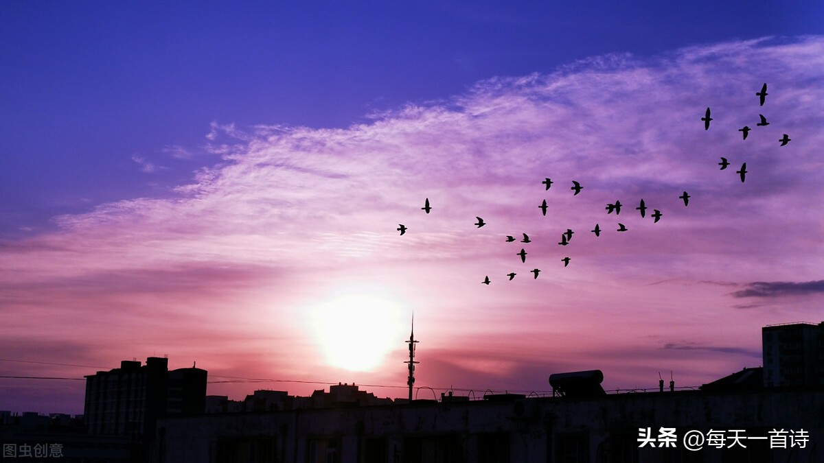 头条上的诗词小组,头条诗词交流小组