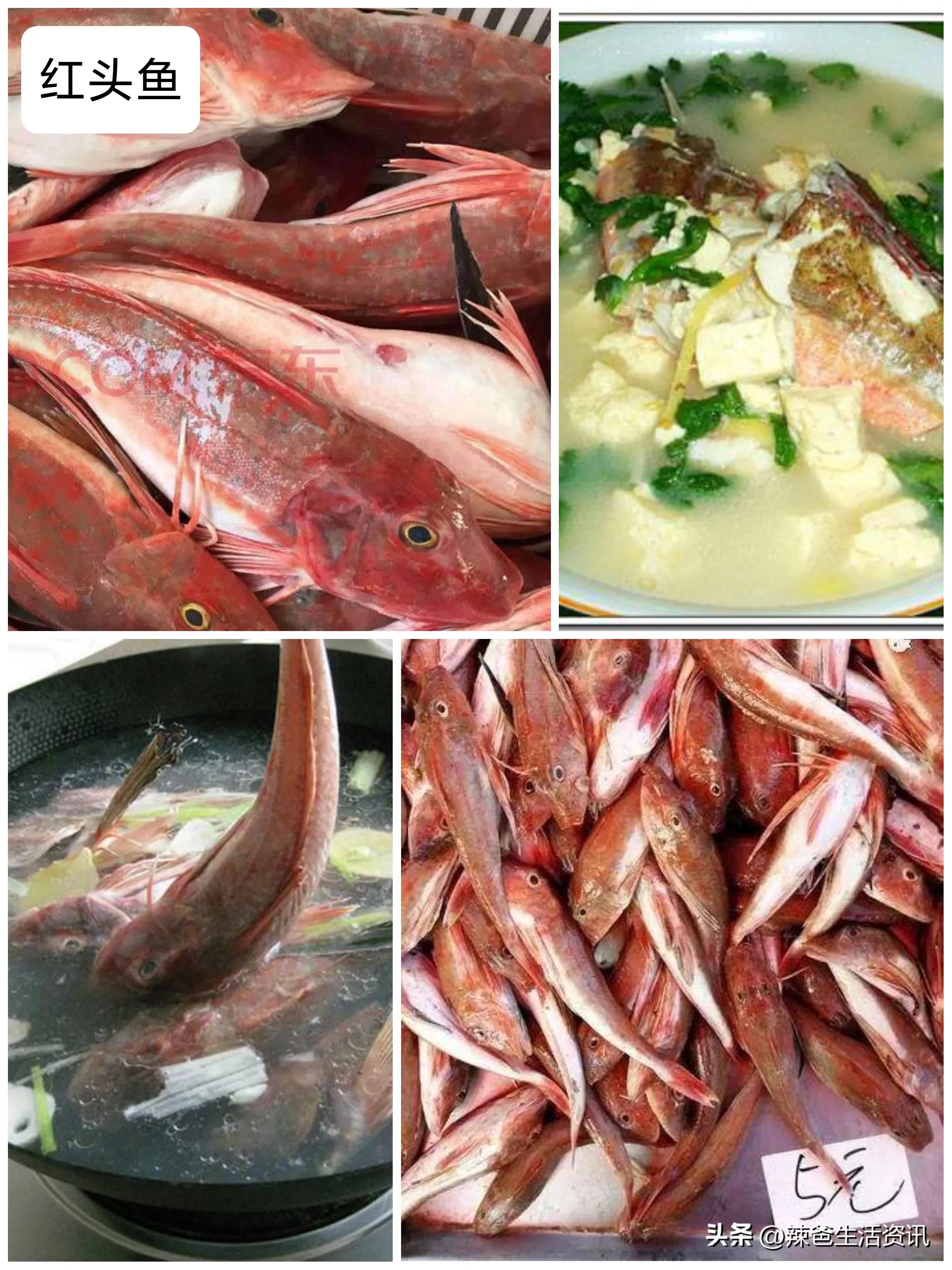 30种最常吃的海鱼做法,家常有哪些海鱼最好吃