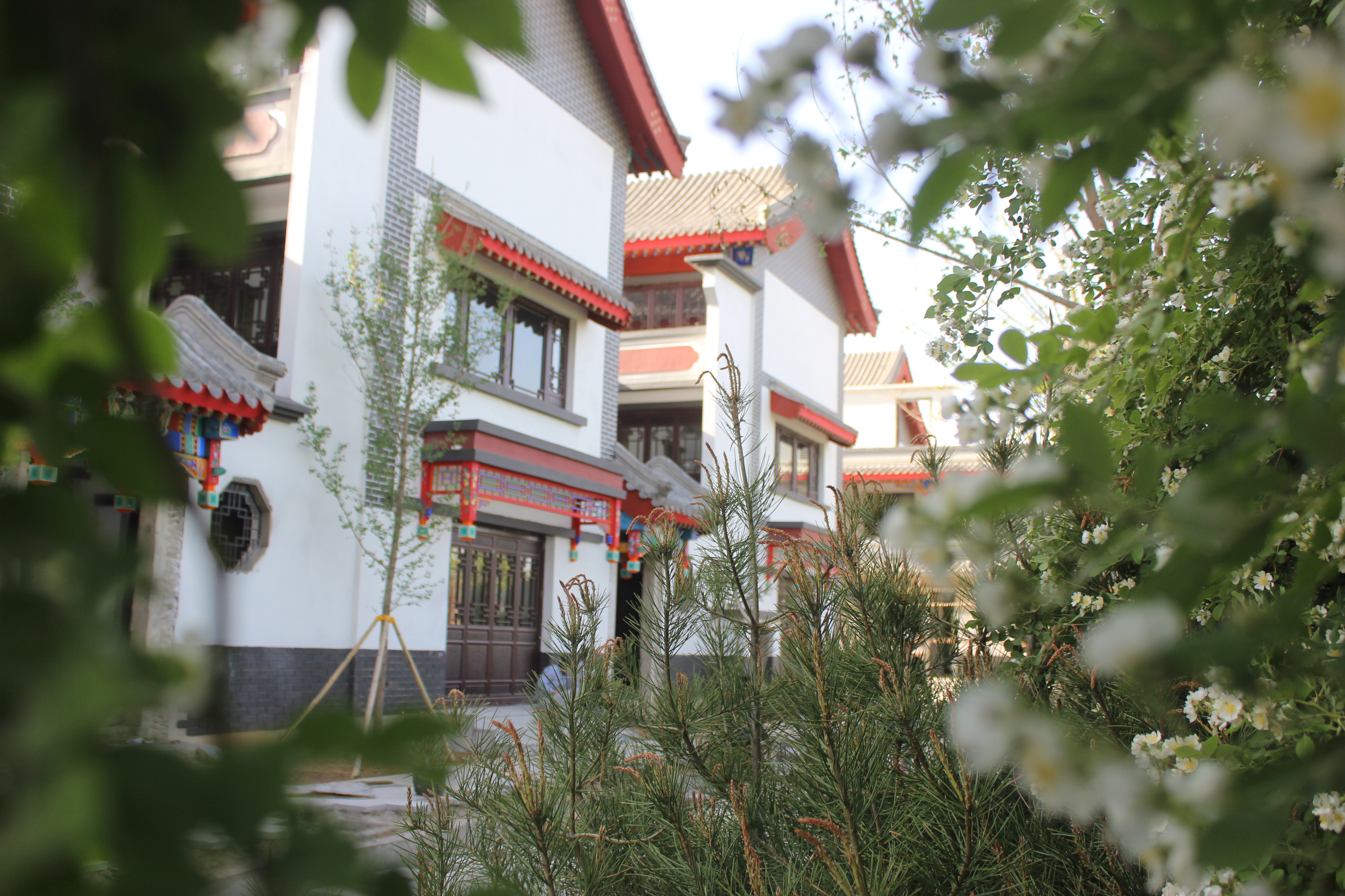 房产推荐和园,和园房子户型图大全