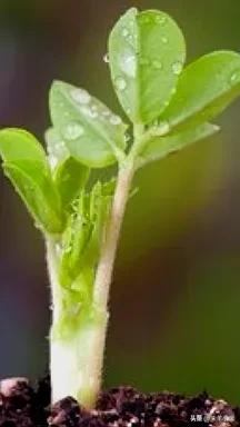 超清超美独一无二手机壁纸图片,养眼养心的壁纸