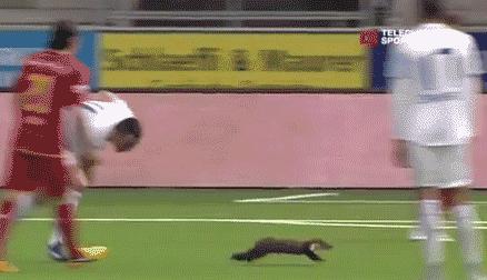 足球史上的十个搞笑瞬间,足球十大奇葩瞬间集锦