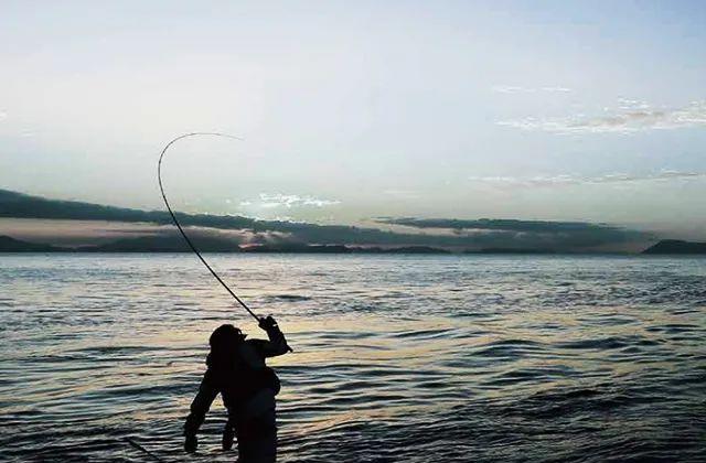 达亿瓦新手入门钓竿,达亿瓦钓箱和仓吉钓箱对比