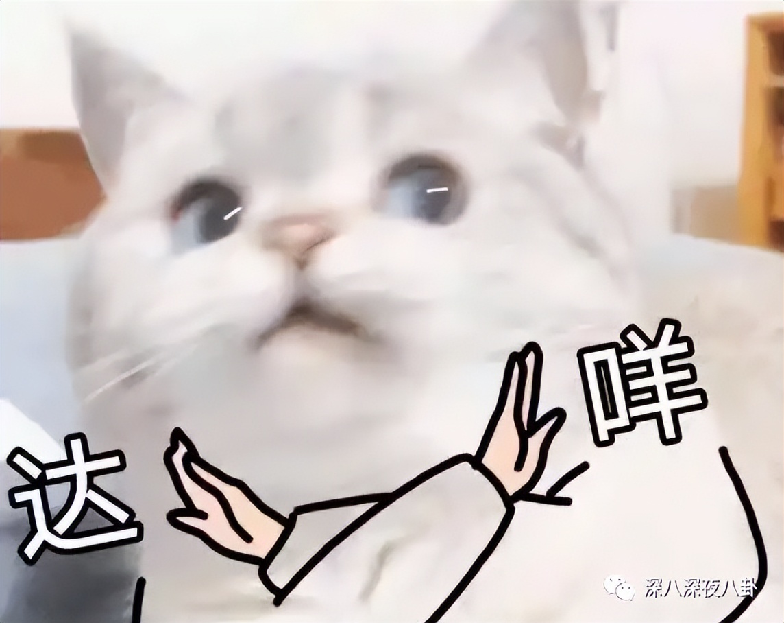 王子腾人物评价,王子腾是男的还是女的