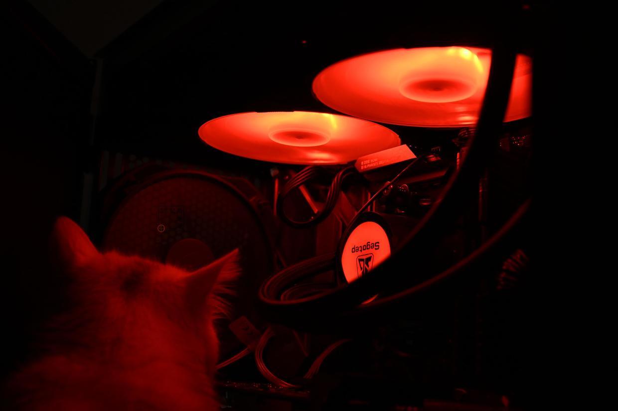 40度高温天注意防暑,40度的高温天气注意防暑