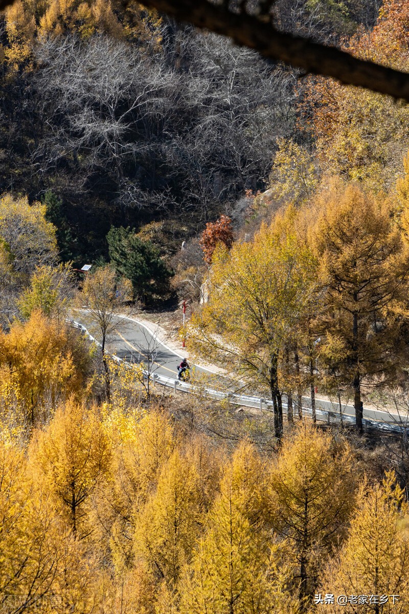 喇叭沟门原始森林最佳观赏区,喇叭沟门原始森林赏七彩秋景