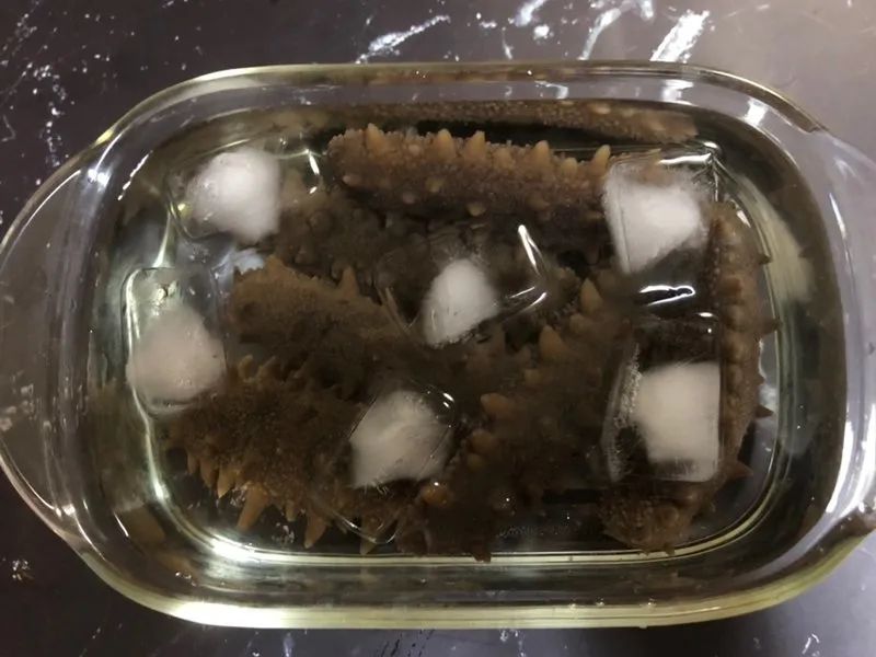 海参稍微泡变质了但是不臭能吃吗,活海参可以直接冷冻吗会不会变质