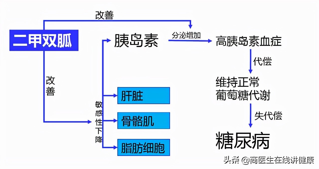 糖尿病人吃二甲双胍有什么副作用,糖尿病吃二甲双胍有哪些副作用