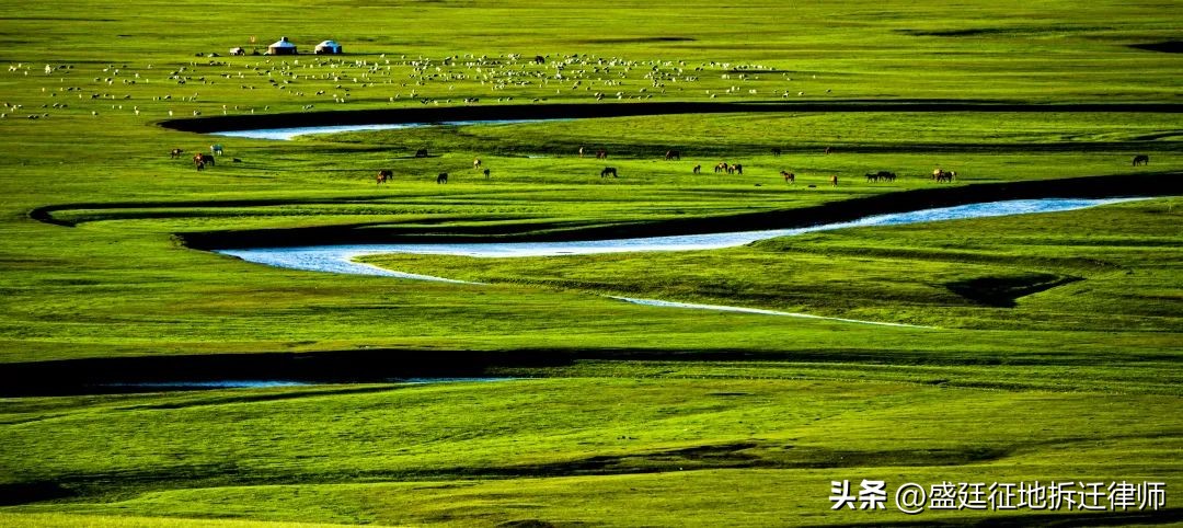 被迫成为“钉子户”怎么办?一文搞懂钉子户的法律风险和救济途径