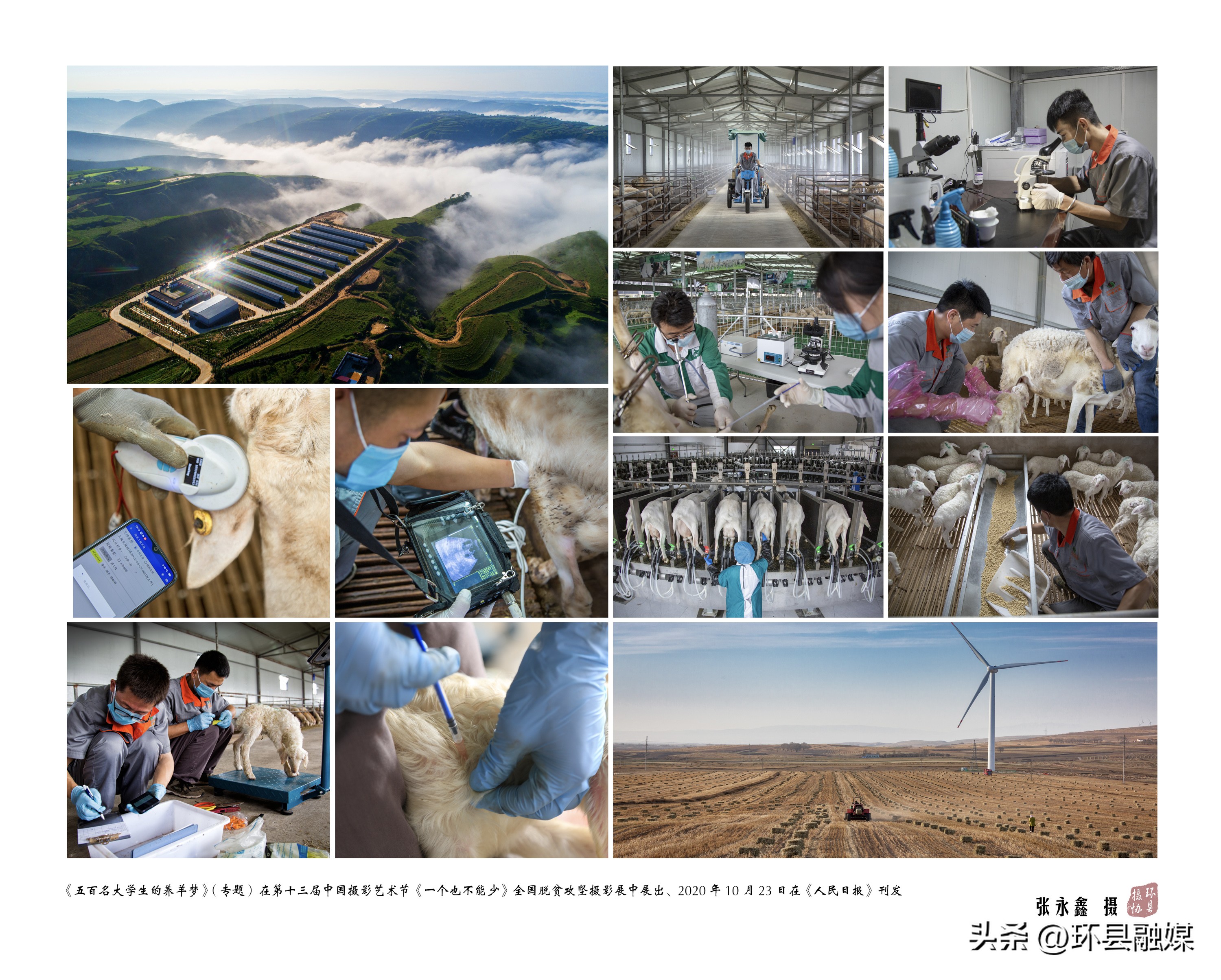 光影映环州新春启征程——环县第二届摄影艺术网络展览之摄影成就类