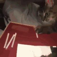 想穿这样的衣服还怕别人看见吗,穿这样的衣服出门真的不尴尬吗