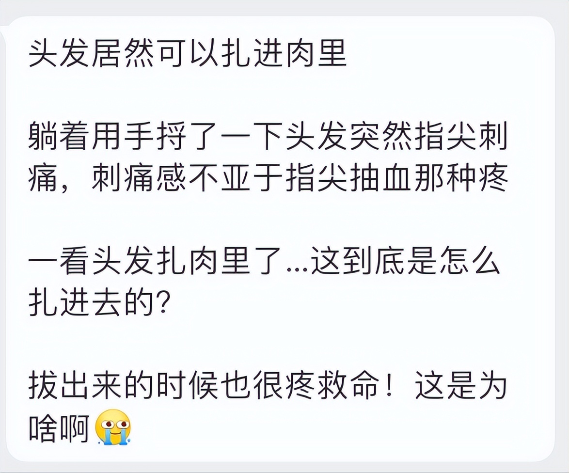 头发硬但是发量少需要烫吗,头发硬能扎到肉里