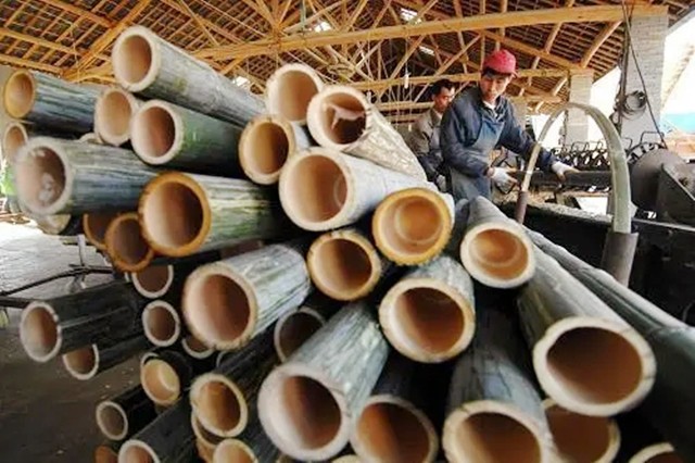 竹子造高铁新应用,中国竹子造高铁