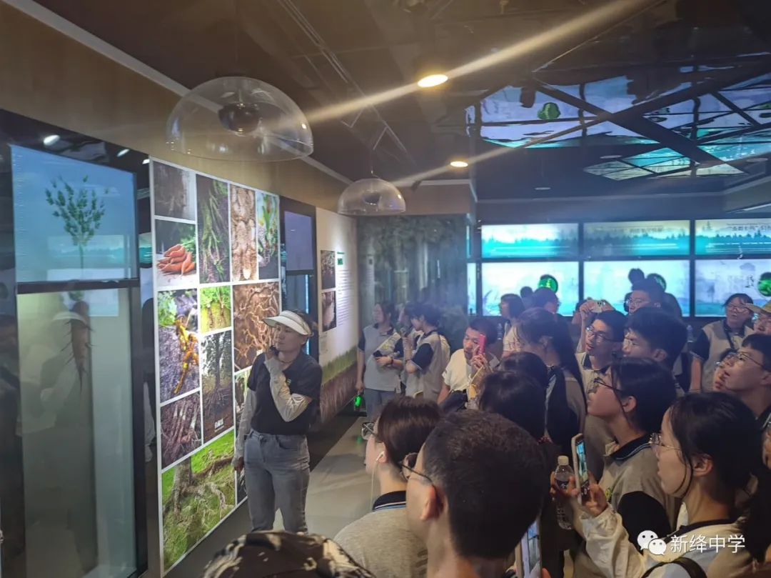 姹傜湡涓娓稿娲诲姩,姹傜湡璺佃