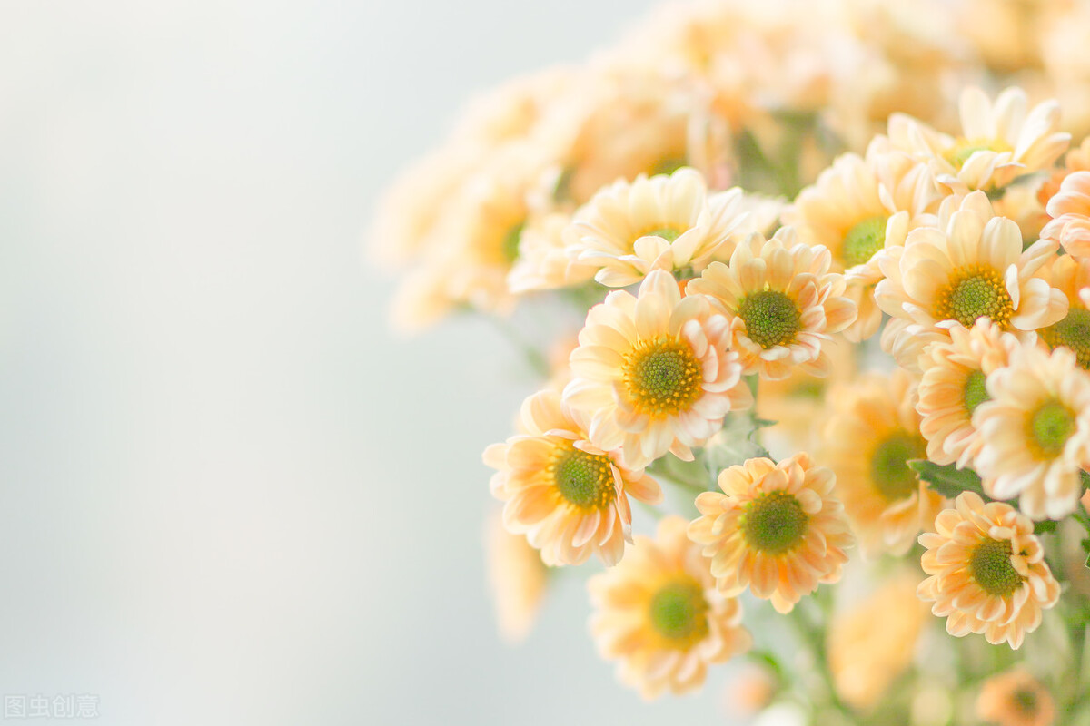 郭进栓汝州,郭进栓